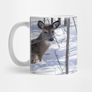 White Tailed Deer Mug